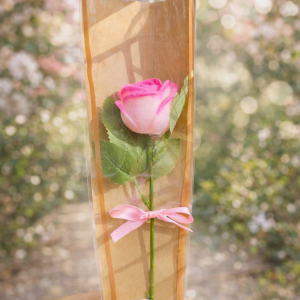 L'éternelle (rose individuelle)